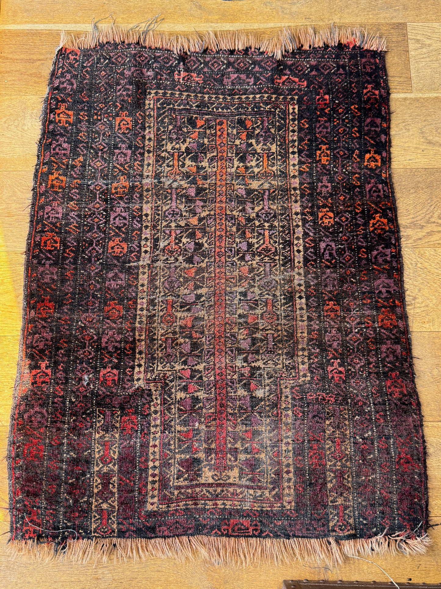Rug-11