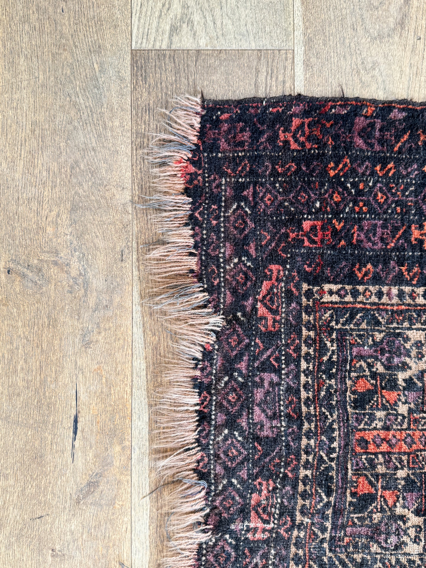 Rug-11